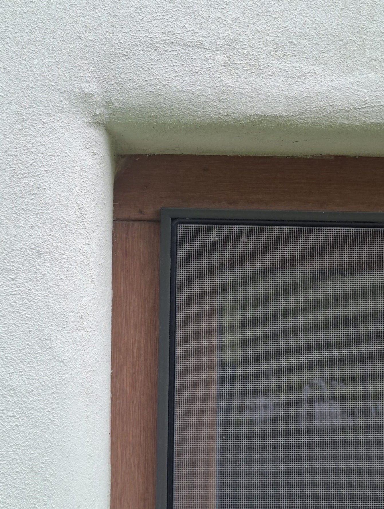 Detail van de afgewerkte gevelrenovatie